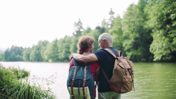 A rear view of senior tourist couple on a walk in nature, standing by lake. Slow motion.