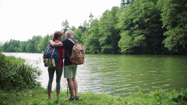 A rear view of senior tourist couple on a walk in nature, standing by lake. Slow motion.