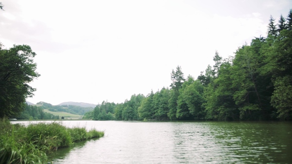 A panoramic view of lake and forest in nature. Slow motion.