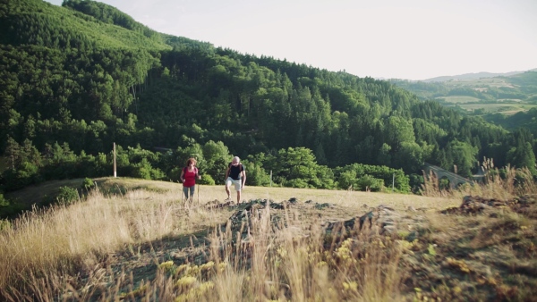 A senior tourist couple with backpacks hiking in nature at sunset. Slow motion.