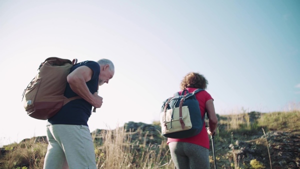 A senior tourist couple travellers hiking in nature, walking. Slow motion.