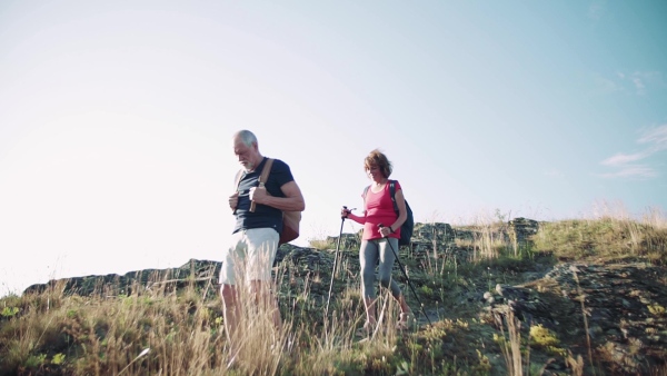 A senior tourist couple with backpacks hiking downhill in nature at sunset. Slow motion.