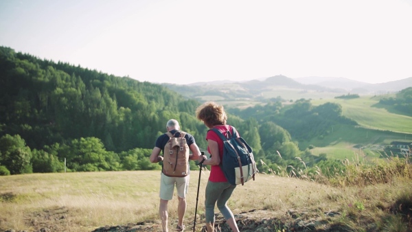 Rear view of senior tourist couple with backpacks hiking in nature. Slow motion.