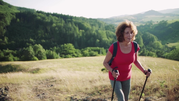 Active senior woman tourist with backpack hiking in nature. Slow motion.