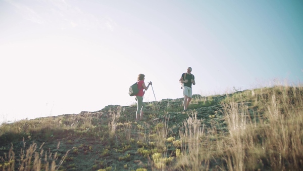 A senior tourist couple with backpacks hiking in nature at sunset. Slow motion.