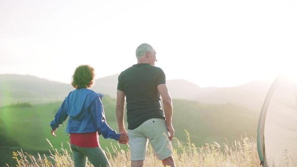 A rear view of senior tourist couple with shelter tent standing in nature at sunset, resting. Slow motion.