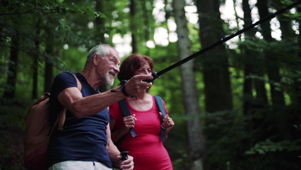 A senior tourist couple with backpacks on a walk in forest in nature, talking. Slow motion.