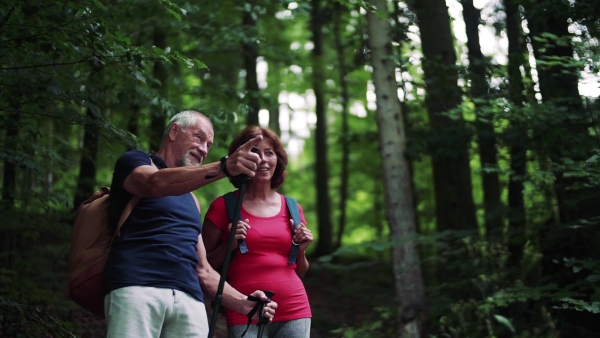 A senior tourist couple with backpacks walking in forest in nature. Slow motion.