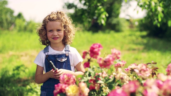 Portrait of small girl standing in the backyard garden, holding scissors. Slow motion.