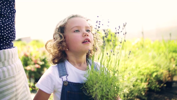 Portrait of small girl standing in the backyard garden, holding herbs. Slow motion.