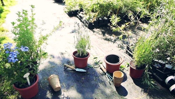 Composition of flower pots and working tools in the backyard or garden center. Slow motion.