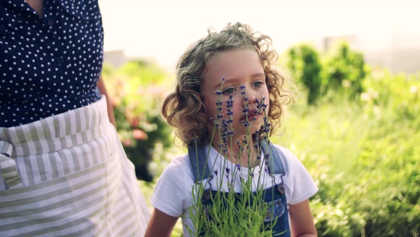 Portrait of small girl with unrecognizable grandmother standing in the backyard garden, holding potted plants.