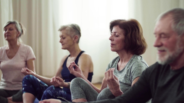 Group of active senior people doing yoga exercise in community center club.