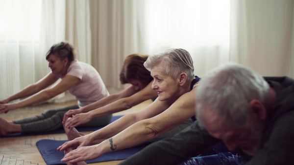 Group of active senior people doing exercise in community center club.