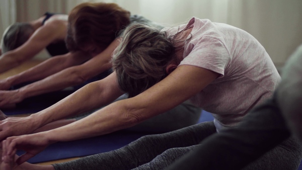 Group of active senior people doing exercise in community center club.