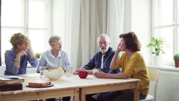 Group of senior people sitting at the table in community center club, talking.