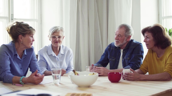 Group of senior people sitting at the table in community center club, talking.