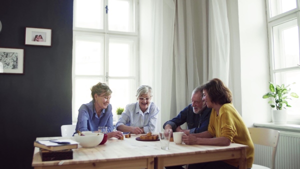 Group of senior people sitting at the table in community center club, playing board games.