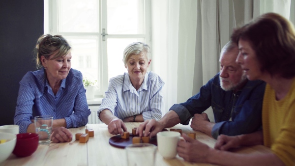 Group of senior people sitting at the table in community center club, playing board games.