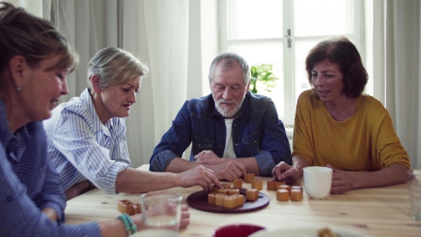 Group of senior people sitting at the table in community center club, playing board games.