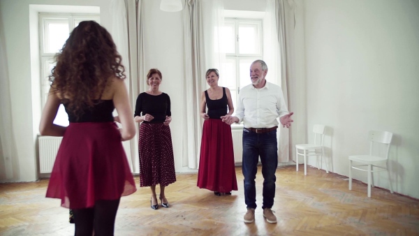 A group of senior people attending dancing class with dance teacher. Slow motion.