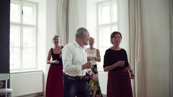 A group of senior people attending dancing class with dance teacher. Slow motion.