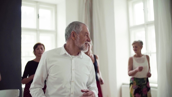 A group of senior people attending dancing class with dance teacher. Slow motion.