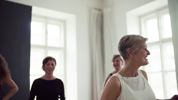 A group of senior people attending dancing class with dance teacher. Slow motion.