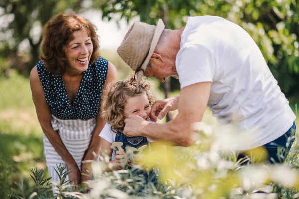 Senior grandparents and granddaughter gardening in the backyard garden. Man, woman and a small girl working.