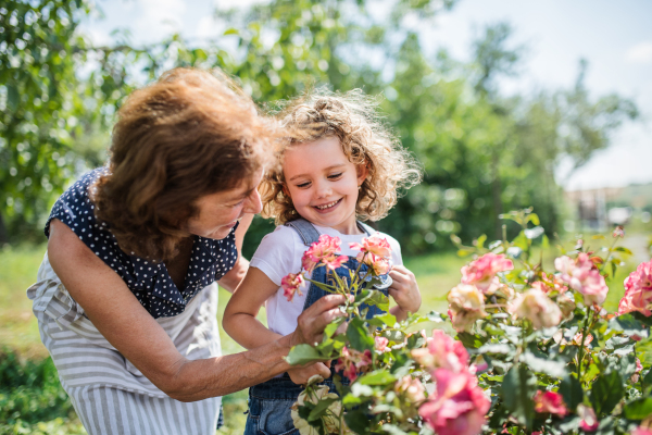 A small girl with senior grandmother gardening in the backyard garden.