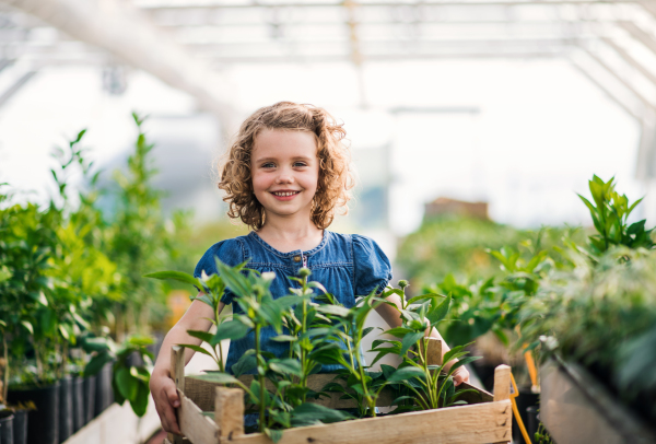 Portrait of small girl standing in the greenhouse, holding a box with plants.