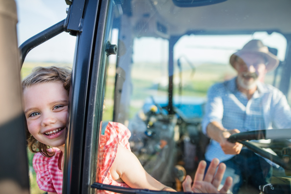 A senior farmer with small granddaughter sitting in tractor, driving.