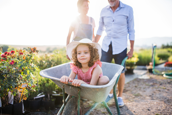 Midsection of senior grandparents pushing granddaughter in wheelbarrow when gardening in garden center.