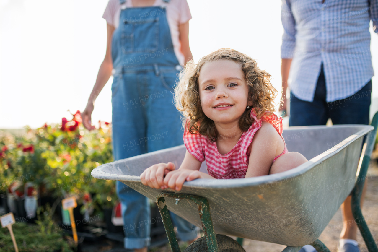 Midsection of senior grandparents pushing granddaughter in wheelbarrow when gardening in garden center.