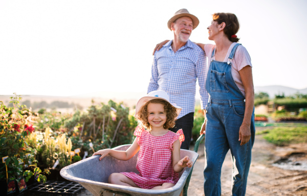 Senior grandparents pushing granddaughter in wheelbarrow when gardening in garden center.