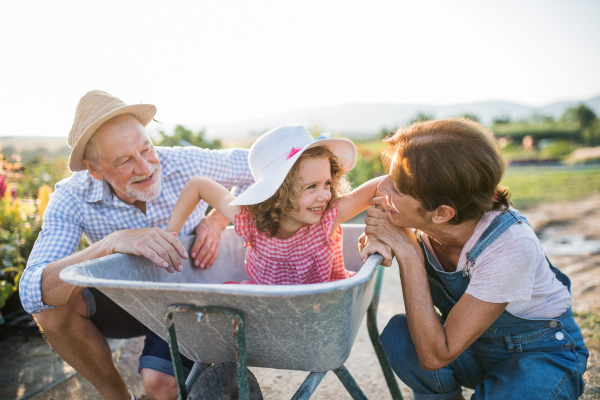 Happy senior grandparents and granddaughter in wheelbarrow, gardening concept.