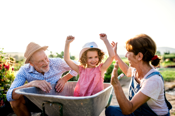 Senior grandparents pushing granddaughter in wheelbarrow when gardening in garden center.