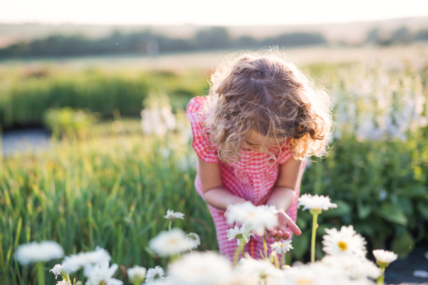 Portrait of cute small girl standing in the backyard garden, playing.