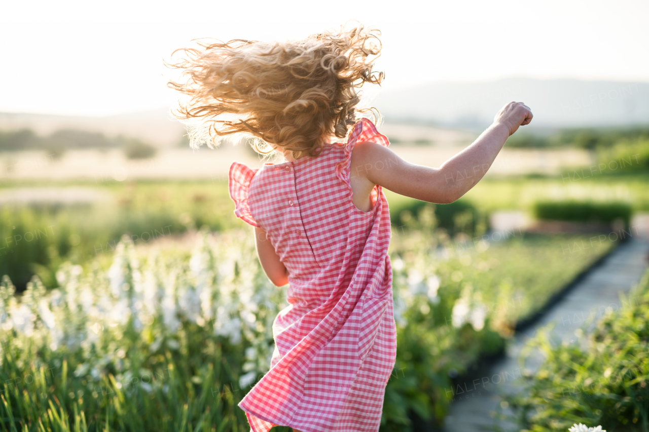 A rear view of small girl running in the backyard garden.