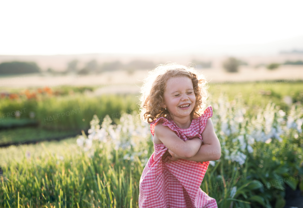 Portrait of cute small girl standing in the backyard garden, playing.