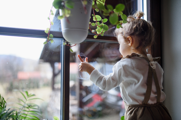 Rear view of small sick toddler girl indoors at home, looking through window. Copy space.