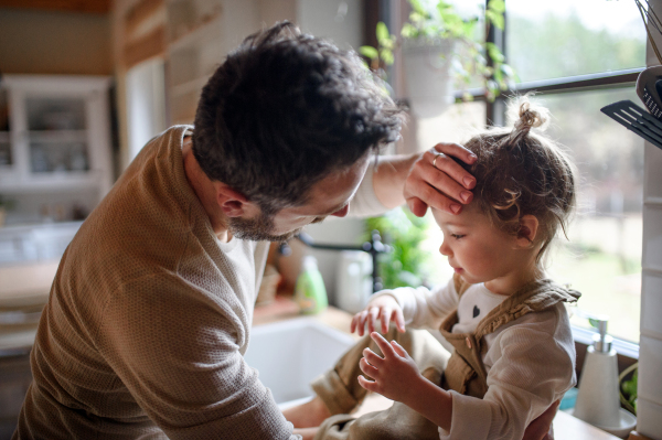 Father checking forehead of sick toddler daughter indoors in kitchen at home.