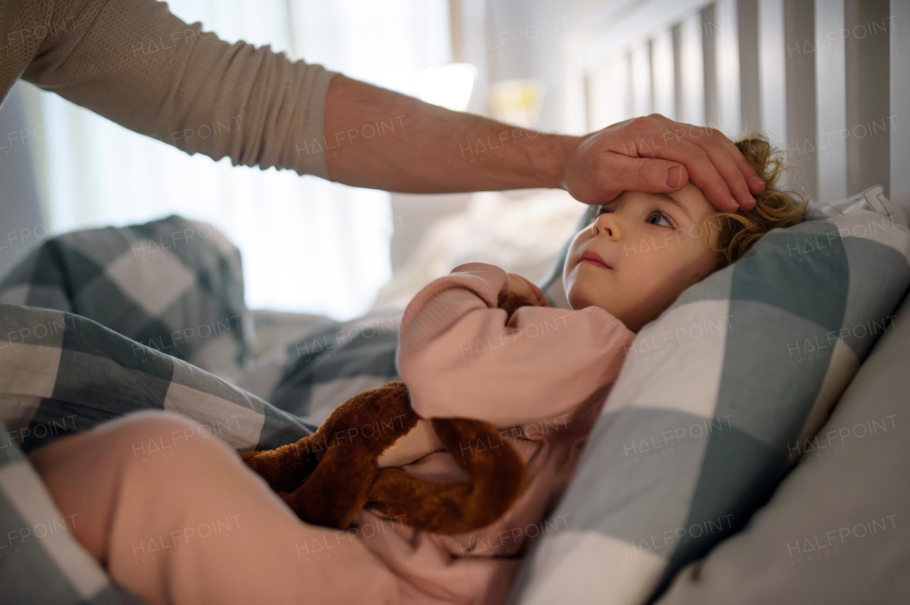 Unrecognizable father checking forehead of small sick toddler daughter indoors at home.