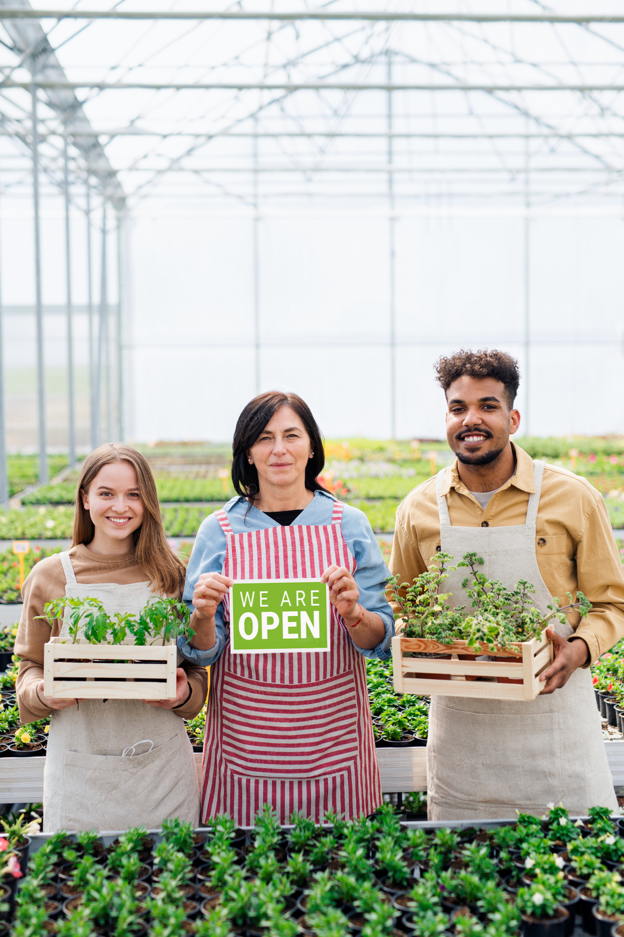 Portrait of people working and looking at camera in greenhouse in garden center, store open after lockdown.