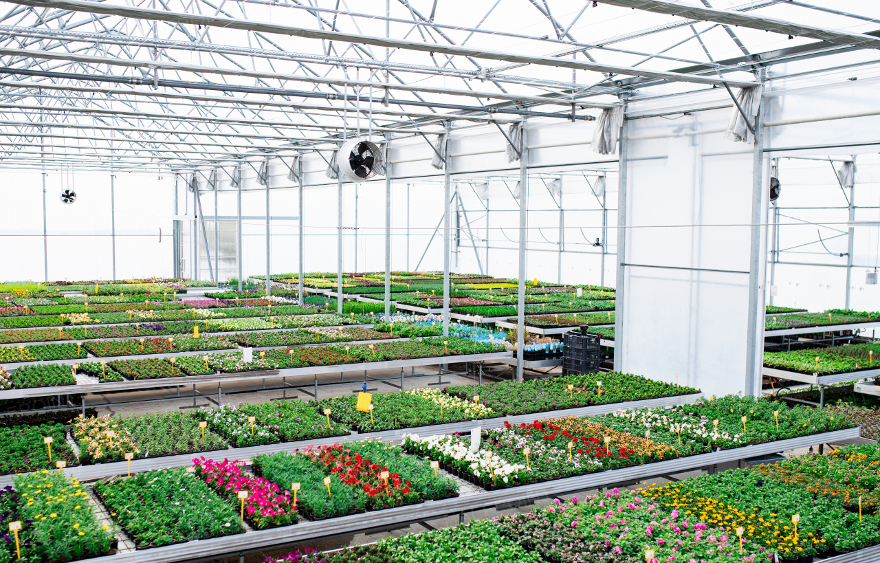 Various potted plants and flowers in greenhouse in garden center, a small business.