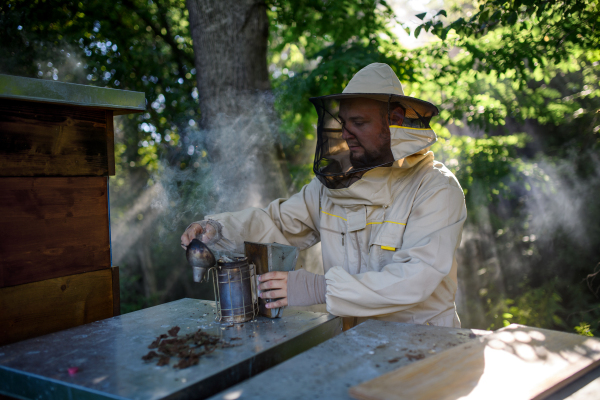 A portrait of man beekeeper working in apiary, using bee smoker.