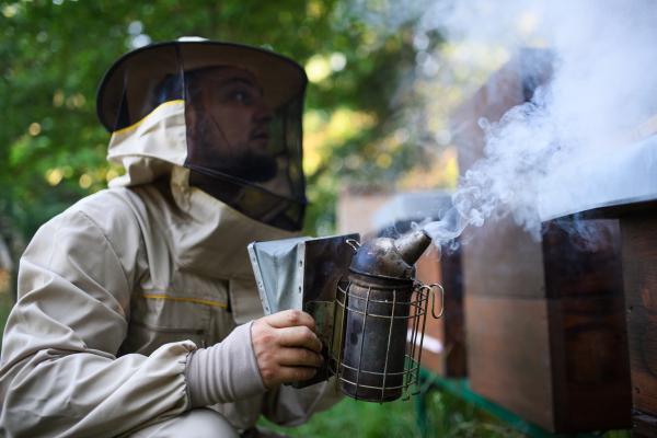 A portrait of man beekeeper working in apiary, using bee smoker.