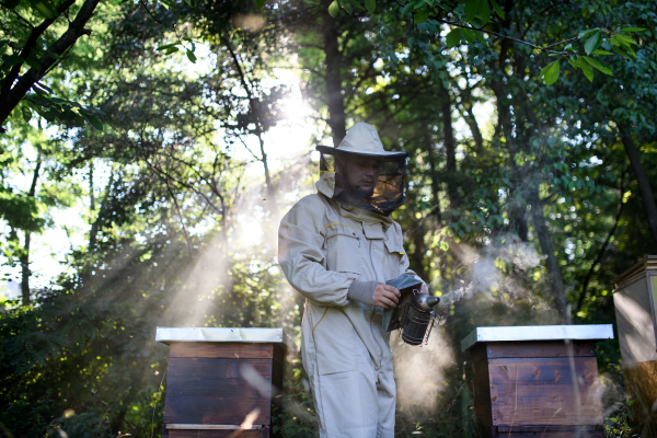 A portrait of man beekeeper working in apiary, using bee smoker.