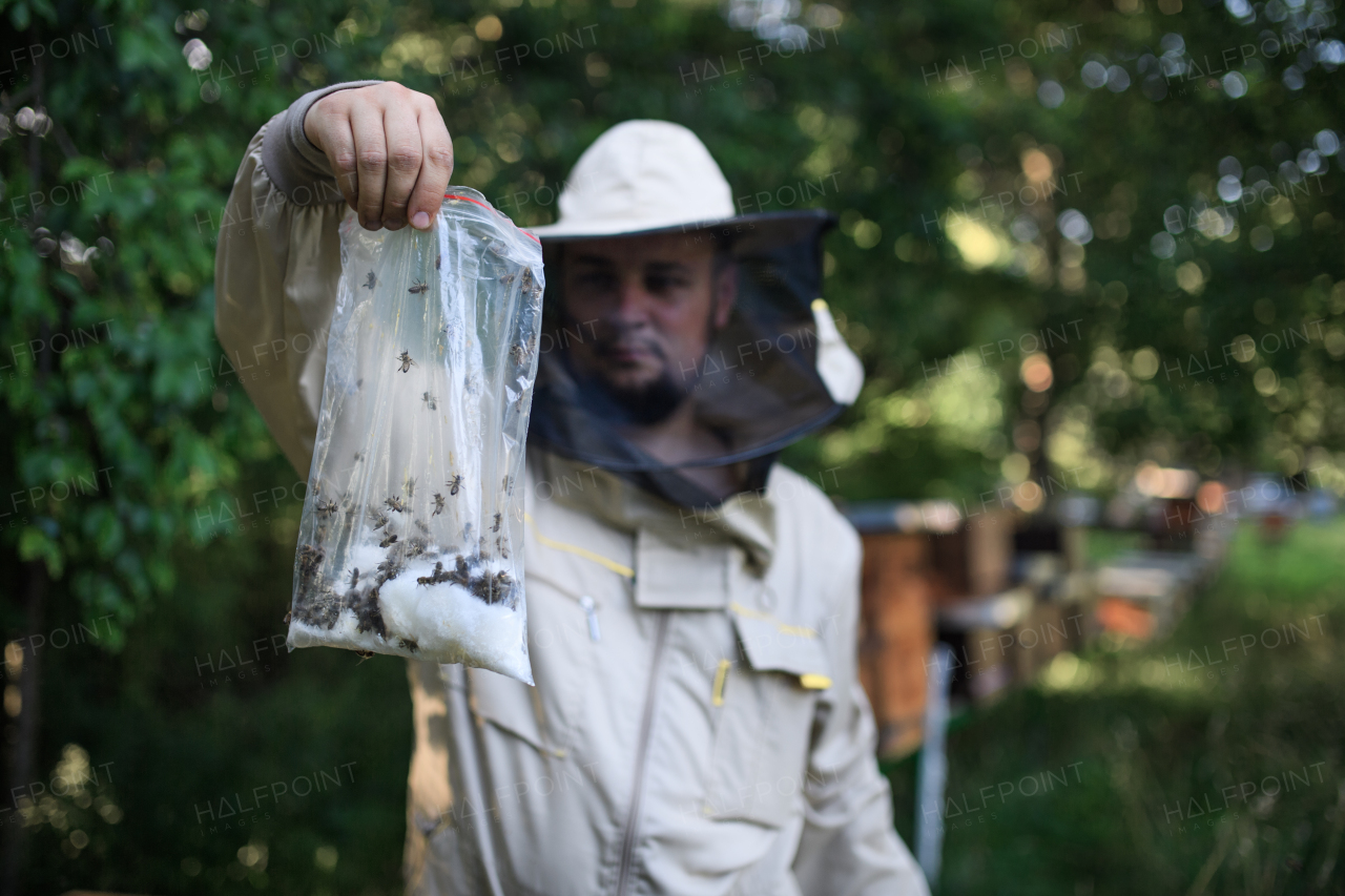 Front view portrait of man beekeeper working in apiary.