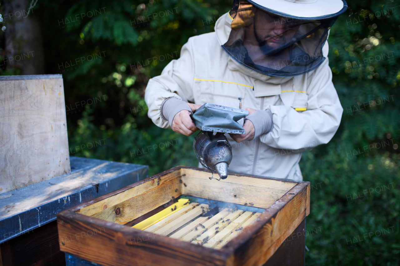 A portrait of man beekeeper working in apiary, using bee smoker.